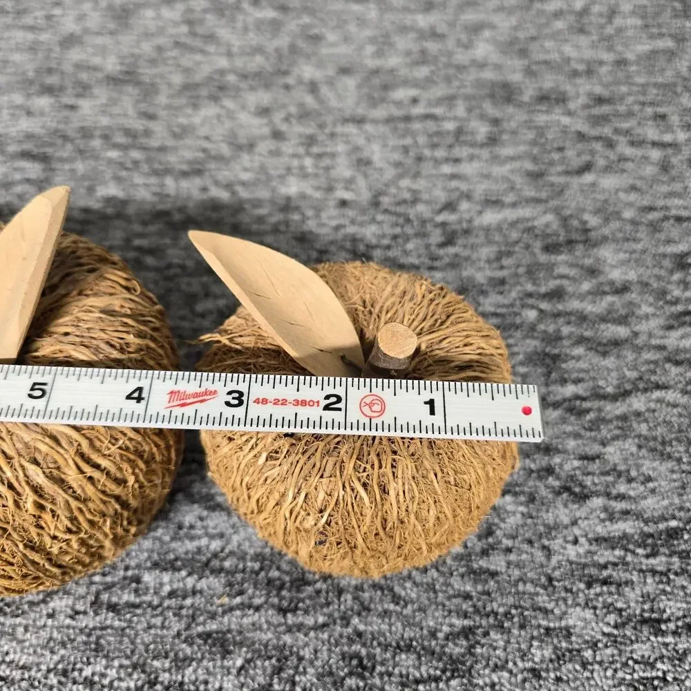 2 Rustic Decorative Apple Figurines Crafted Woven Natural Fibers & Twig Stem